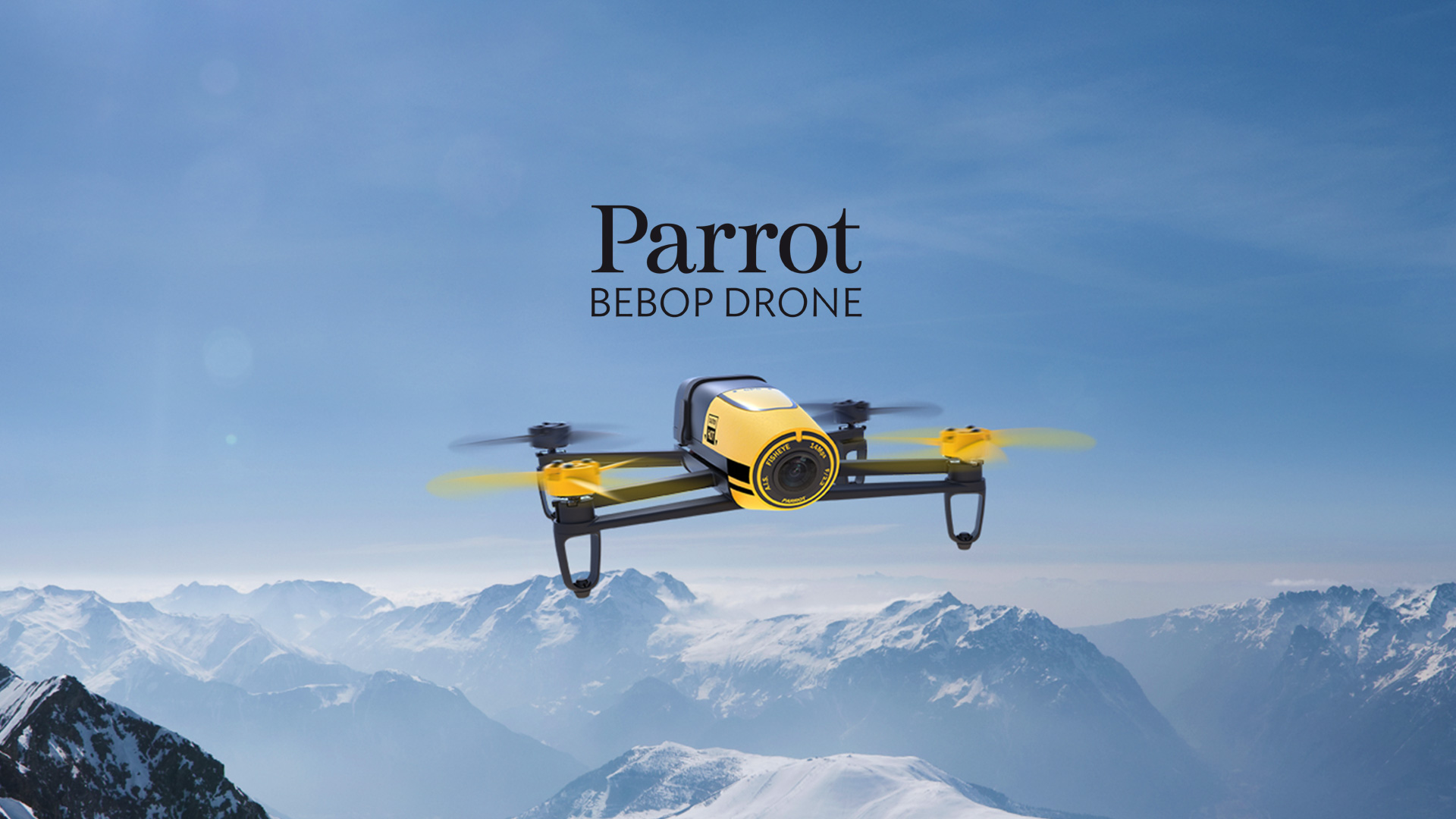 parrot-bebop