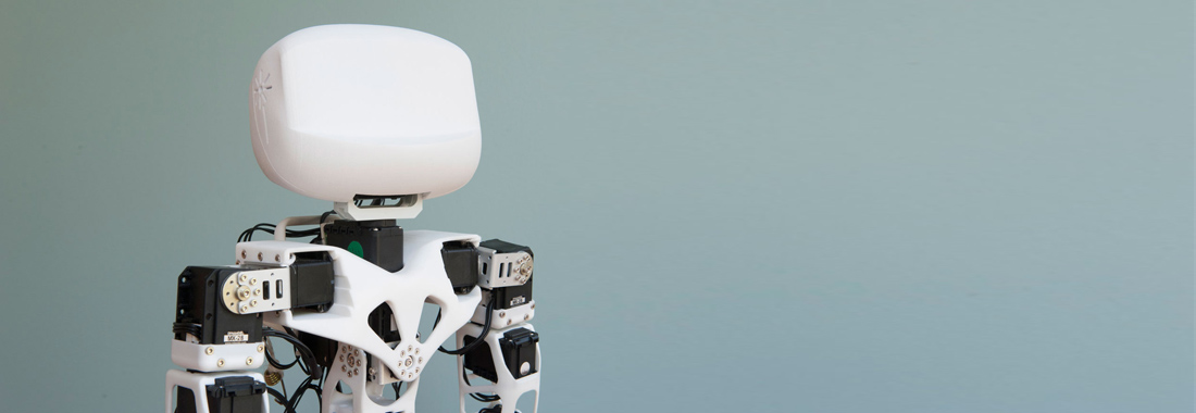 Robot Poppy