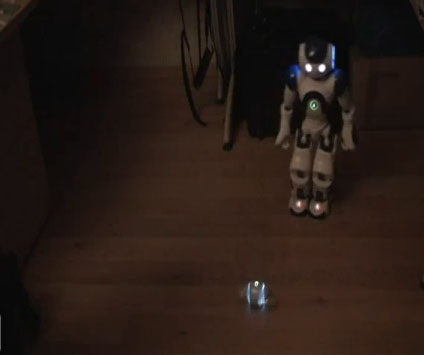 Nao et le Sony Rolly