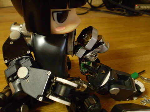 Robot Hina