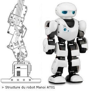 Robot