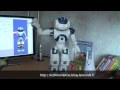 Nao robot bonne annee 2010