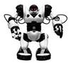 Robosapiens Robosapiens