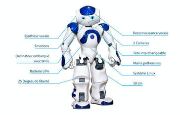 Les fonctions de Nao