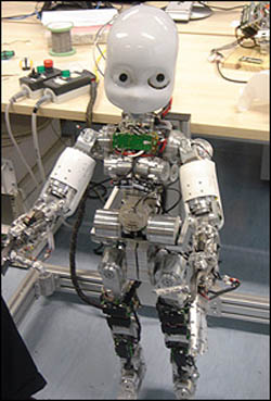 Robot iCub