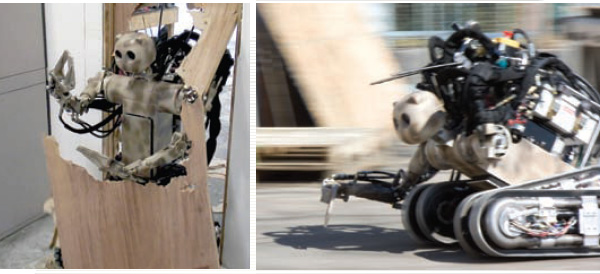 Robot Bear