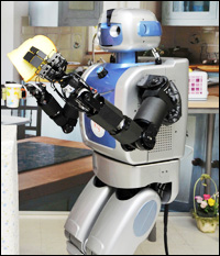 Robot Maid