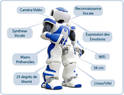 Les fonctions de Nao
